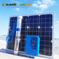 Китай заводская цена 6 дюймов 750 Вт постоянного тока глубокий колодец солнечный насос водяная солнечная насосная система для ирригации