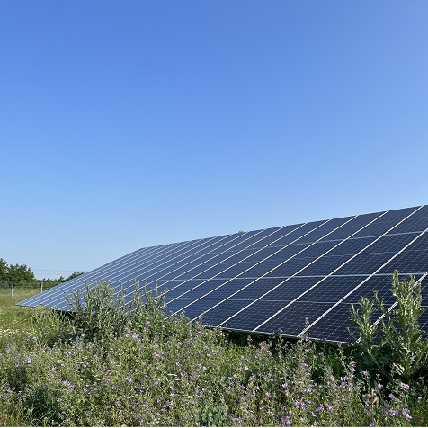 Солнечная система BLUESUN 200 кВт в БОЛГАРИИ
        