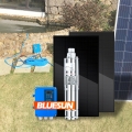 Bluesun 1500W 2HP 3HP Солнечный водяной насос 48V Глубокая скважина DC солнечная насосная система для сельского хозяйства